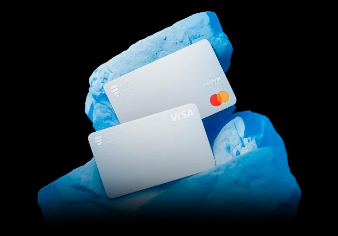 Бизнес-карталар